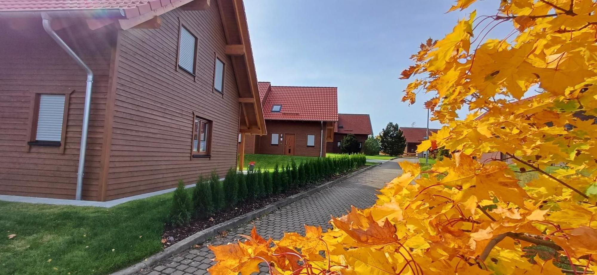 Premiumferienhaus Bhakti Hasselfelde Exteriér fotografie